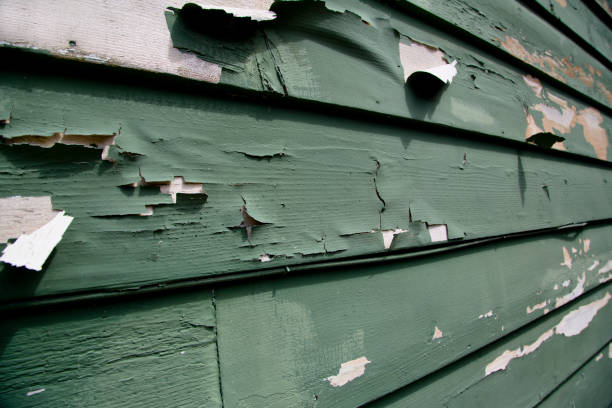 Best Stucco Siding  in Mono Vista, CA