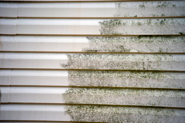 Best Siding Removal and Disposal  in Mono Vista, CA